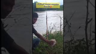 Detik detik pemancing disengat ikan pari