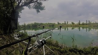 Carpfishing In Compagnia