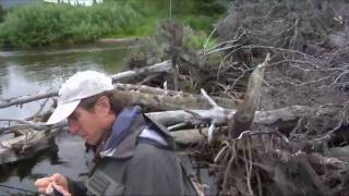 Beattie Productions: The making of First Descent Alaska, fly fishing documentary