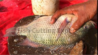 Big Tilapia Fish Cutting At Fish Market, Amazing Fish Cutting Skills By Expert Fisherman