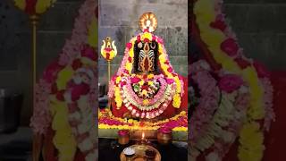 कर्पूरा गौरं करुणावतारम| Lord Shiva Live Darshan | Lord Shiva temple | Vandalur Chennai |Shivaratri