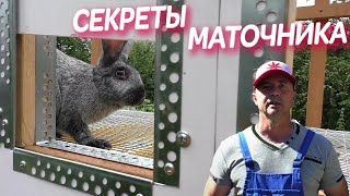 КРОЛИКИ КЛЕТКИ СТРОИМ МАТОЧНИК ДЛЯ КРОЛЬЧИХ Пошаговая постройка  Кролики содержание и разведение