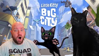 MY CAT GOT HIS OWN GAME?! | Little Kitty, Big City