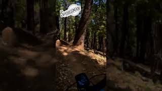 Nevada City! Amazing Flow downhill action!  #shorts  #mountainbiketrails #mtb #mtblife #mtbbiking