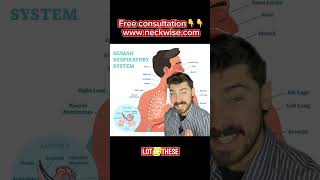 Airway health | sleep apnea | night terrors | Salt Lake City upper cervical chiropractor