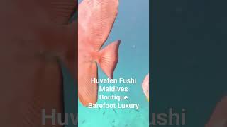 Huvafen Fushi - Boutique Luxury In The Maldives