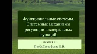 13.50 Функциональные системы