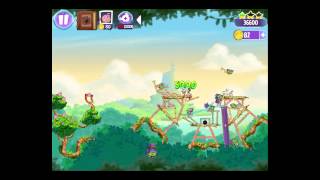 Angry Birds Stella Wall of Pigs 1 - 3 Stars Walkthrough