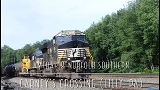 Amtrak & NS Trains: Carney’s Crossing (Lilly, PA)