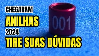 ANILHAS para os CANÁRIOS. Saiba TUDO em 3 min AGORA!