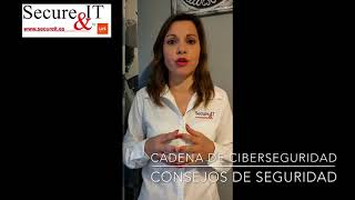 Consejo de seguridad - Cadena de ciberseguridad