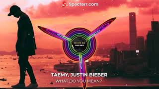 Justin Bieber - What Do You Mean? (TAEMY REMIX- SEMI REGGAETON)  EARPHONE RECOMMENDED!