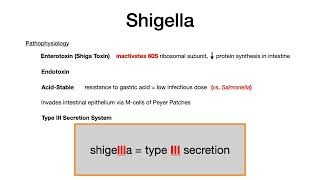 Shigella