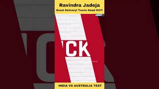 Travis Head Wicket! Ravindra Jadeja Great Delivery! #shorts #cricket22