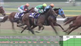 2016　有馬記念　参考レース個別ラップ