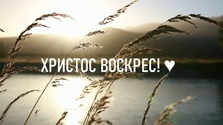 Недільна школа вітає з Великоднем! | "Біблійна церква", м. Біла Церква (24.04.2022)