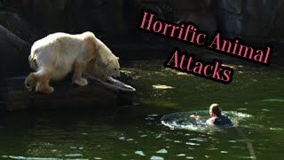 20 Horrific Animal Attacks