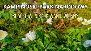 Kampinoski Park Narodowy - Wiosenny Spacer 2024 - Granica, Pożary, Nart