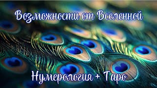 Возможности от Вселенной, нумерология + Таро #таро #раскладтаро #гаданиетаро #эзотерика #прогноз