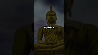 Buddha's Compassion  The Power of Forgiveness.