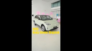 The New 2025 Geely Geome Xingyuan EV Review & Walkaround