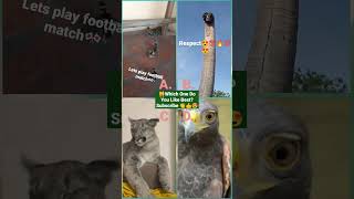 Try Not To Laugh Challenge The best and funniest pets in the world #shorts #trending #animals#tiktok