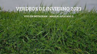 Verdeos de invierno - Comentarios