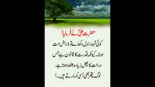 koi tumhara Dil dikhayen#islamic #short#video