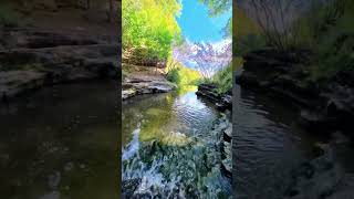 Along the trail. #nature #hiking #creek