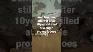 #damp #construction #dampness #renovation #followmeback #damptreatment #diy #realestate #risingdamp