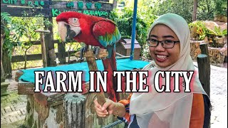 Farm in the city.seri kembangan,Selangor