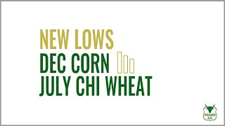 Fresh LOWS for Dec Corn