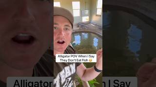 Alligator POV: When I Say They Don’t Eat Fish 😳🐊#shorts #alligator