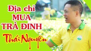 Trà Đinh Thái Nguyên | Trà Thái Nguyên Cao Cấp