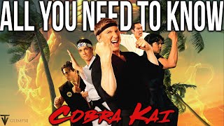 Cobra Kai Never Dies: Season 5 Recap & Breakdown!