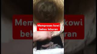 Memproses kowi bekas leburan