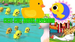 Cicit cuit Bebek berenang - lagu anak populer #nurseryrhymes