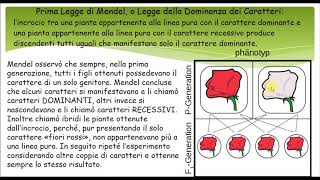 La nascita della Genetica e le Leggi di Mendel