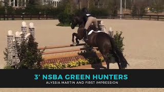 Alyssia Martin and First Impression NSBA 3’ Green Hunters World Equestrian Center WEC Horse Show