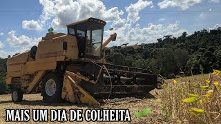 Mais um dia de colheita, visão primeira pessoa!