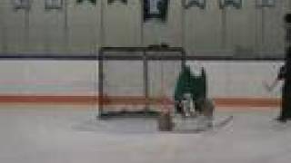 William Papic: Goaltending Video