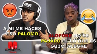 DJ TOPO DICE  ALOFOKE NO ES PÁJARO EL LO QUE ES GU3V• ALEGRE😂