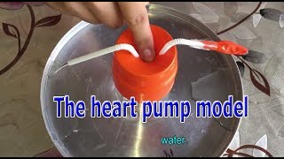 How to make heart pump model