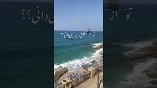 تو از عشق چه می‌دانی؟ نخستین بار عشق را کجا دیدی؟ #دکلمه #سجاد_کرمی_نامیوندی #آموزش_گویندگی #شعر