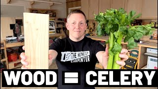 What CELERY Can Teach You About WOOD...A Beginners Guide To Carpentry And Woodworking!