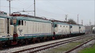 LE ULTIME TIGRI DI BOLOGNA CENTRALE