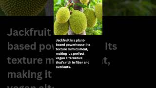 Jackfruit The Meat Substitute You Didn't Know About! #facts #fruit #shorts