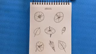 How to draw hibiscus flowers 🌺🌺 || Best tutorial for beginners || #drawing #hibiscus