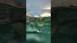 Penguins the skilled swimmers |EUkids #shorts #penguin