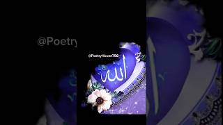 Beautiful Allah name Status  allah name status 💓🤲 part 204 #allah #ytshorts 204